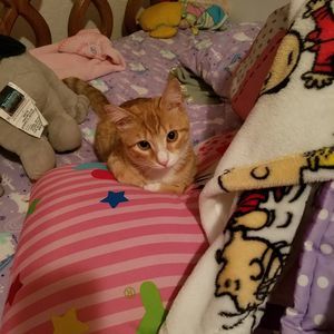 Meet your Posher, Tracy